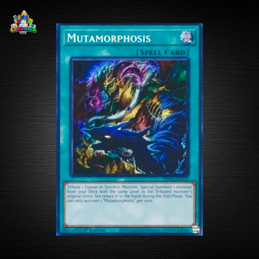 Yu-Gi-Oh!-Einzelkarte Mutamorphose
